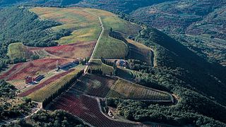Istria Safari - Descubra a paixão da Ístria