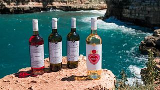 Giustini Winery