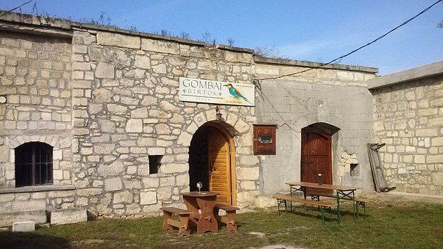 Cata de vinos y visita a la bodega Gombai Grape Cellar