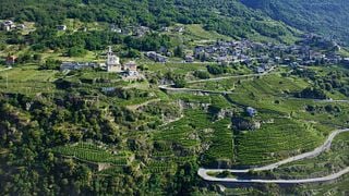 Descubre La Valtelina | Bodega Pietro Nera / Compañía Agrícola Caven