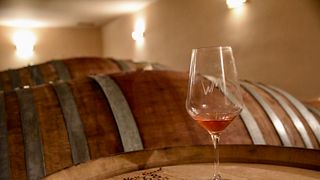 Degustazione di vini presso l'azienda vinicola biodinamica Casa Wallace 
