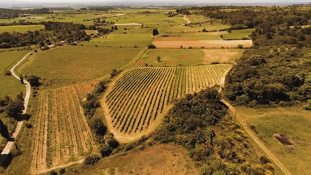 Domaine de Pech Ménel