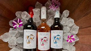 Efivos-Tour im Weingut Fragospito