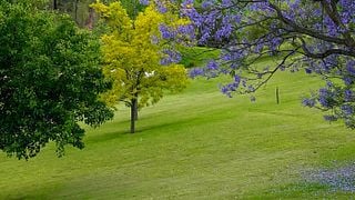 Private Full-Day Wine Tour in the Hunter Valley