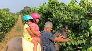 Emilia-Romagna Wine & Vineyard Journey at La Casetta