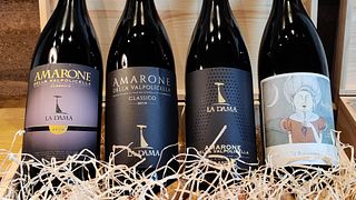 Vertical de Amarone