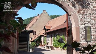 Dégustation de vins et visite au Weingut Alte Grafschaft