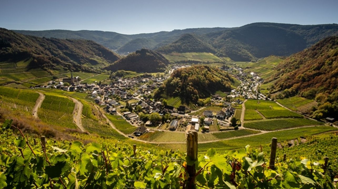 Winzergenossenschaft Mayschoss-Altenahr