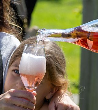 Degustazione di vini Full Experience