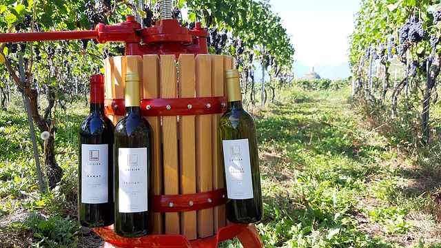Dégustation gourmande chez Luisier Vin