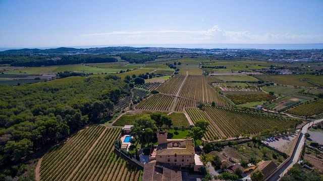 Expériences de dégustation uniques aux Bodegas Torre Del Veguer