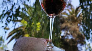 Aconcagua Vineyard Tour & Mapuche Wine Tasting