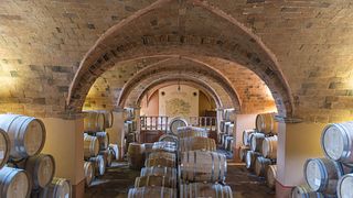 Degustación de vinos y visita guiada a Marchesi Ginori Lisci.