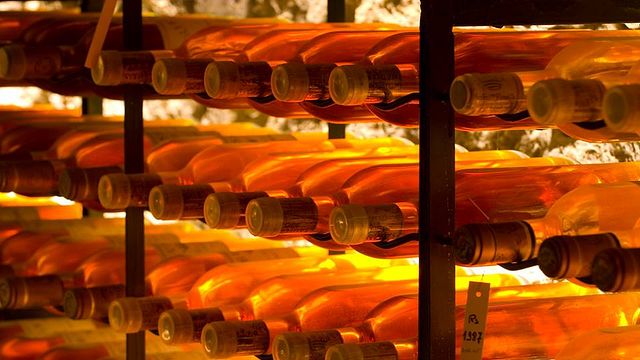 Dégustation et visite de vins au Château Lamothe Despujols