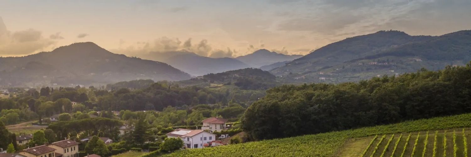 Fattoria Sardi 3 Wt2025