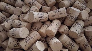 Weinprobe im Weingut Belo Brdo