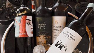 Dégustation et visite de vins au domaine viticole Ambra