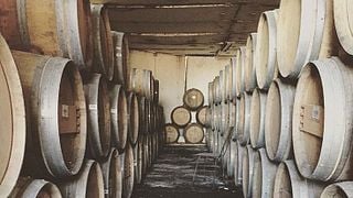 Weinprobe und Tour bei Galan Vineyards