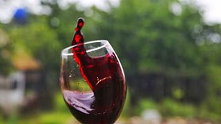 Visita a la Bodega Obene