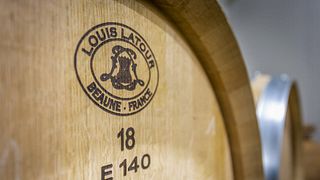 Cata de vinos populares en la bodega Spolert