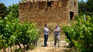 Weinprobe und Führung im Celler Piñol