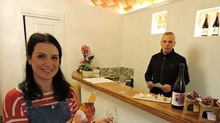 Castelli Romani Wine at Cantina Costantini: Tour & 4-Wine Tasting