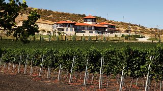Dégustation de vins et visite de la cave à vin Minkov Brothres