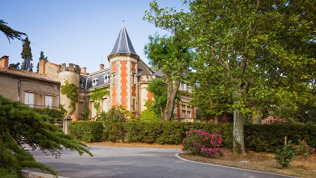Cata de vinos y visita guiada al Château Fortia