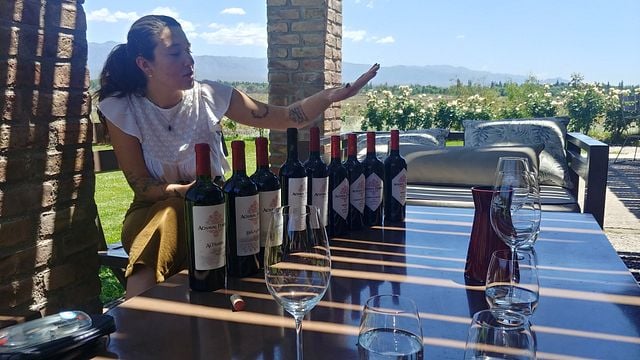 The Mendoza Experience, 9 winery visits in 3 days!