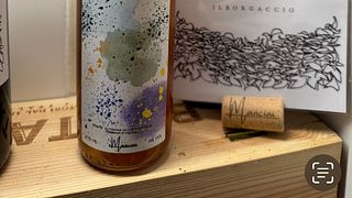 Walk Tuscan vineyards and Taste artisan wines include Passito
