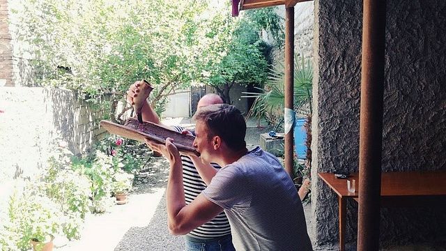Esperienza unica: Museo del vino, vino della famiglia Qvevri e vino della fabbrica in un giorno