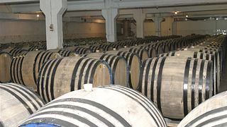 Découvrez Durres en faisant ce tour de Konjak