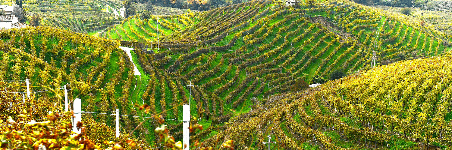Valdobbiadene