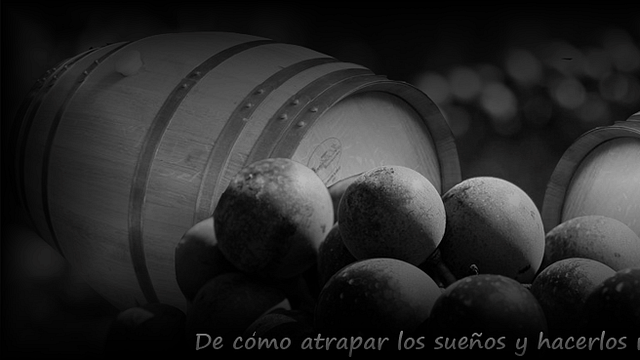 Dégustation de vins à Las dos Antiguas