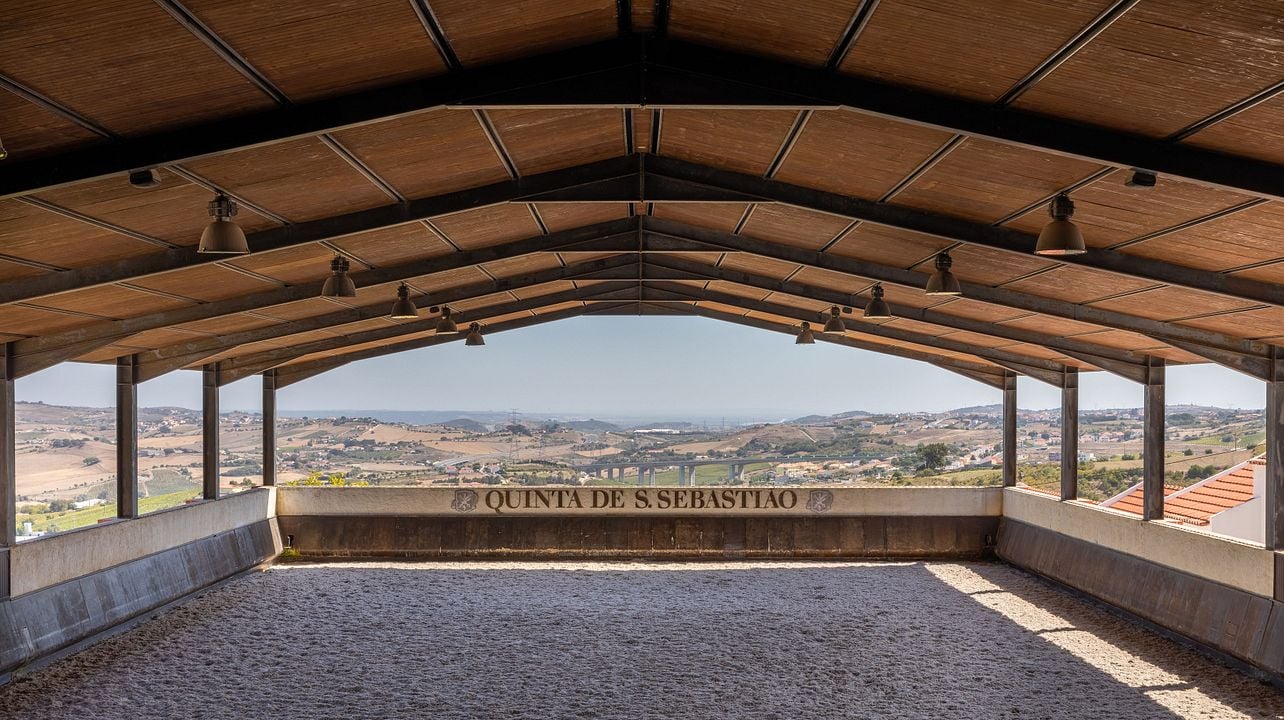 Degustação de Vinhos e Apresentação de Dressage