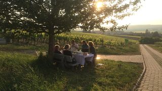 Wine Tasting and Tour at Gustavshof Winery