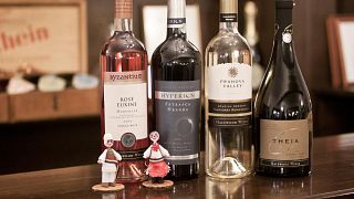 Dégustation de vins et visite de la cave à vin Azuga Rhein