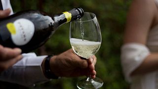 Degustazione di vini e tour a Pitars