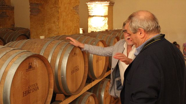 Wine and Mozzarella Tour