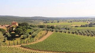 Petra Winery