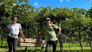 Clementi Winery