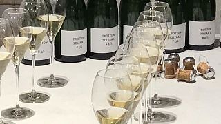 Weinprobe und Tour bei Trotton Estate Vineyards