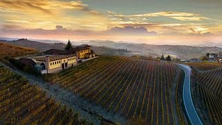 Cata de vinos y visita a la bodega Pier Paolo Grasso