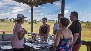 Degustação de vinhos e tour na Bodega Cerro Chapeu