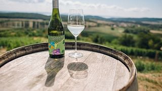 Degustação de vinhos com uma excelente vista do Lago Balaton