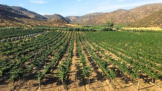 Excursion d'une nuit de San Diego à la région viticole de Valle de Guadalupe