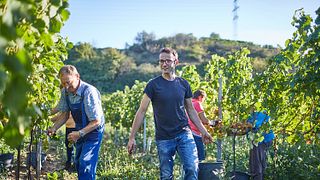 Weingut Kittenberger