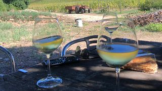 Pranzo o Cena con i Vignaioli alle Colline Del Vento
