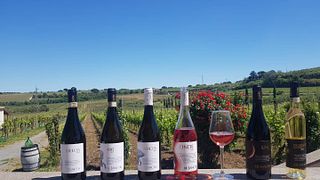 Spaziergang und Weinprobe