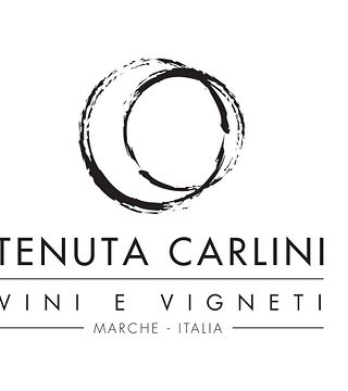 Degustazione di vini e tour presso Tenuta Carlini